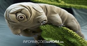 Notícia Alternativa