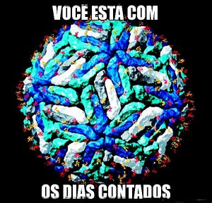 zika