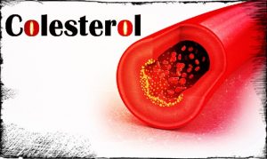 colesterol