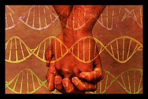 comportamento sexual