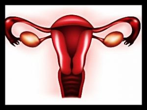 Período menstrual irregular