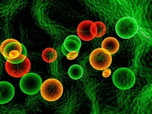 leucemia linfoblástica