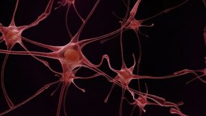 neurônio