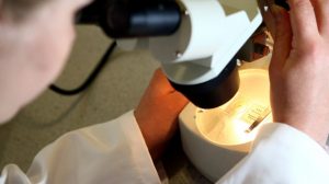 infecção urinária