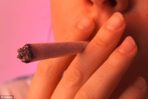 usuários de maconha