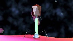 vírus que rouba genes