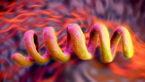 epidemia de sífilis