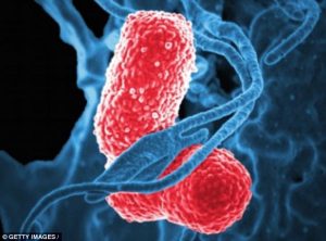 bactérias estão mais perigosas