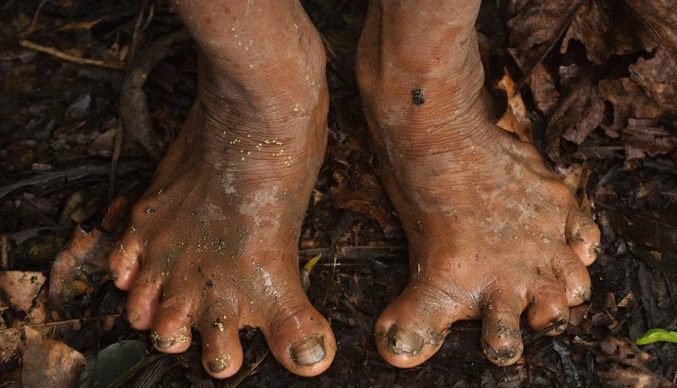 Índios isolados