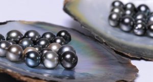 pérola-negra