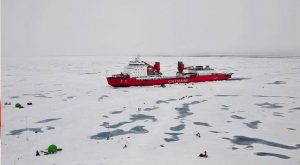 acidificação do oceano