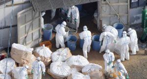 Autoridades japonesas