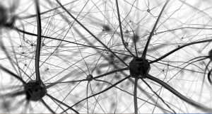 comunicação neuronal