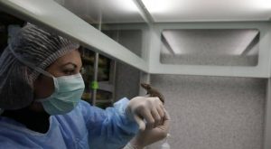 retardar envelhecimento