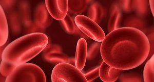 anemia-diseritropoiética-congênita