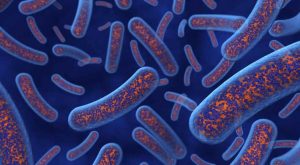 bactérias intestinais