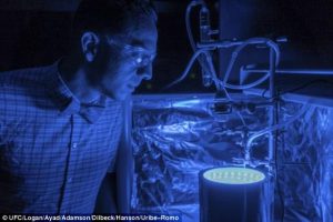 fotossíntese artificial