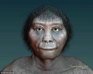 Homo floresiensis