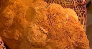 ovos de dinossauros