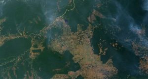 ministério do meio ambiente