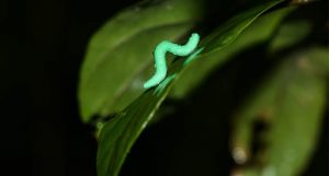 piores lugares do mundo