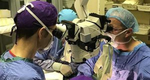 transplante de penis