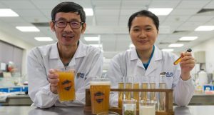 cerveja com probióticos