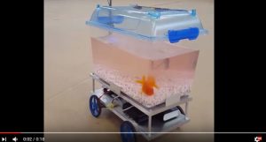 peixe controla aquário