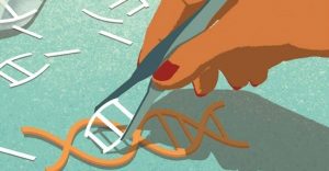 humano geneticamente modificado