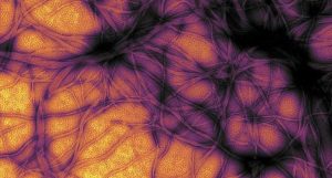 Diabetes pode ser transmitida