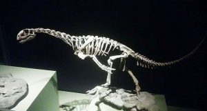 dinossauro carnívoro