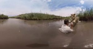 encantador de leões