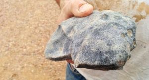 mais velho que a terra