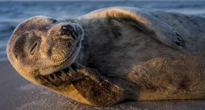 melhores fotos de 2017