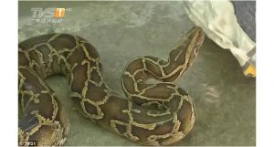 máquina de lavar roupa