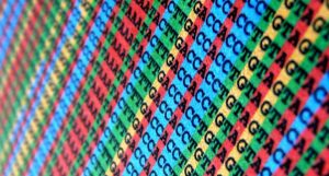 descoberta científica do ano