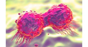 reduzir risco de câncer