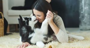 cachorros que comem cocô