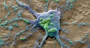 existe uma cura para câncer