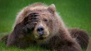 fotos mais engraçadas