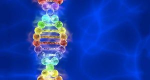 transplante de medula óssea DNA