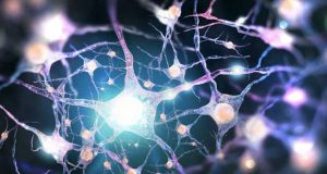 inteligência humana