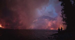 relatório americano