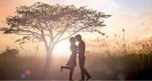 humanos são descendentes