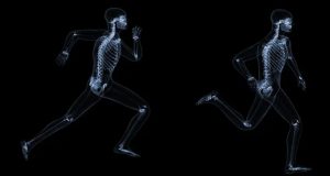 ossos liberam hormônio