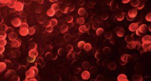 Cientistas japoneses