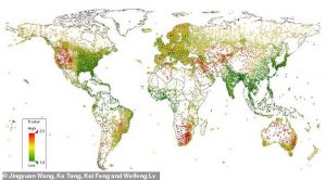temperatura e umidade