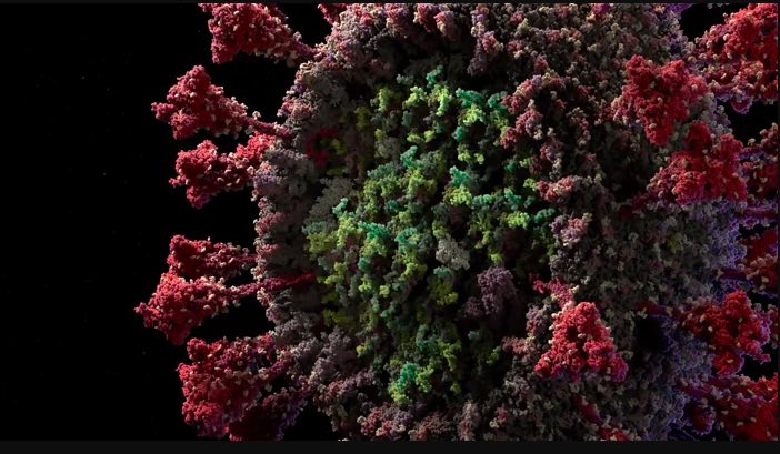 Vídeo tridimensional mostra o novo coronavírus em detalhes – Assista!