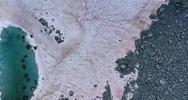 Neve rosa nos Alpes italianos preocupa pesquisadores – Fotos!