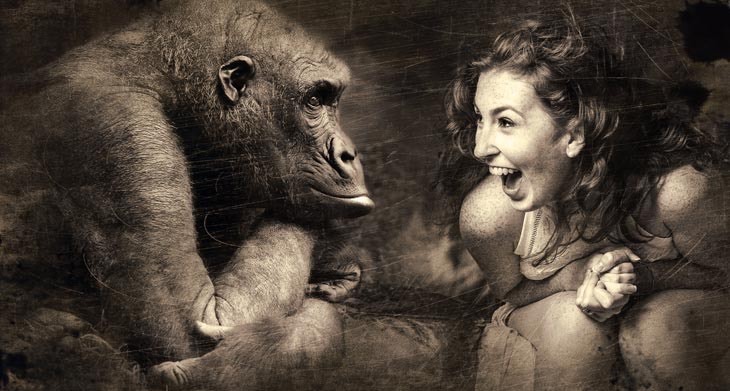 Humanos e macacos possuem padrões de raciocínio parecidos – Entenda!